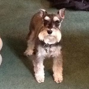 Meet your Posher, Jackie